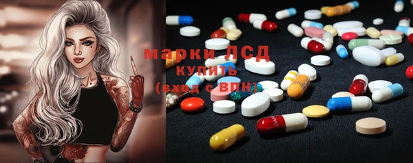 трава Осинники