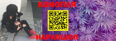 прущие грибы Пушкино