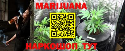 прущие грибы Пушкино