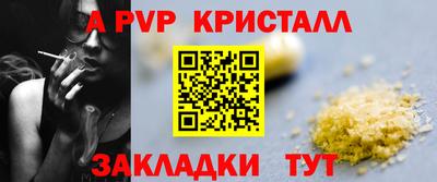 прущие грибы Пушкино