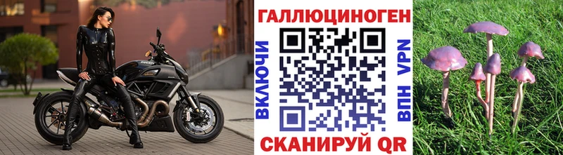 Галлюциногенные грибы прущие грибы  Ступино 