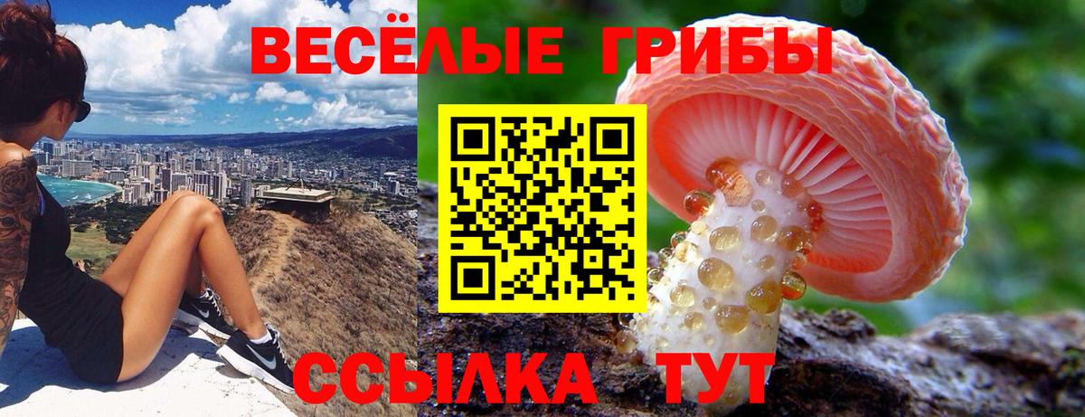 Ступино  закладка  Галлюциногенные грибы мицелий  Вход с VPN  Галлюциногенные грибы Psilocybe 